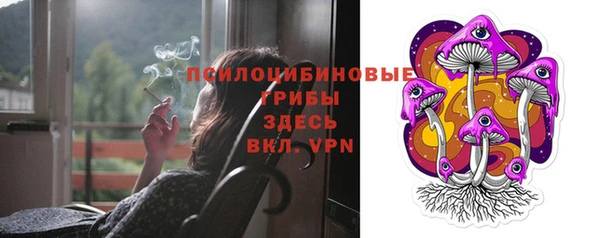 гидра Михайловск