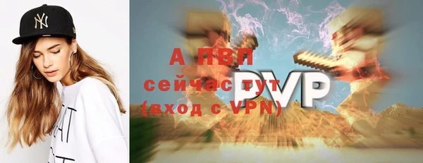 гидра Михайловск